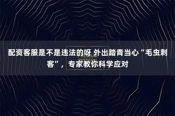 配资客服是不是违法的呀 外出踏青当心“毛虫刺客”，专家教你科学应对